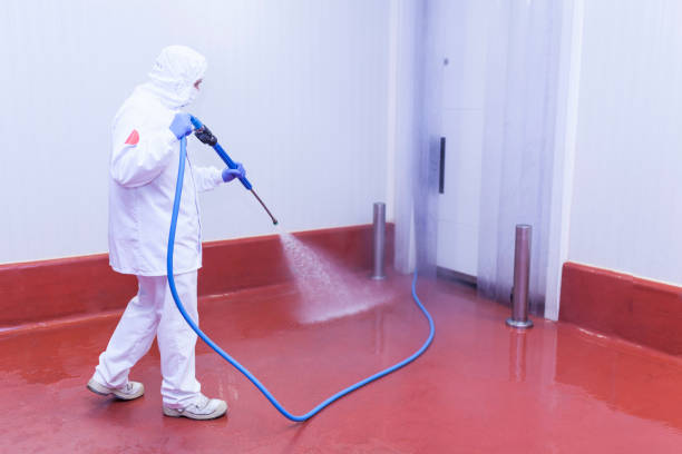 Best Paint Preparation  in Marlboro, NY